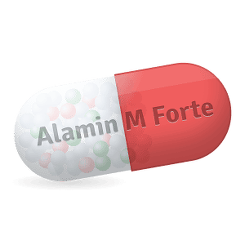 Alamin M Forte