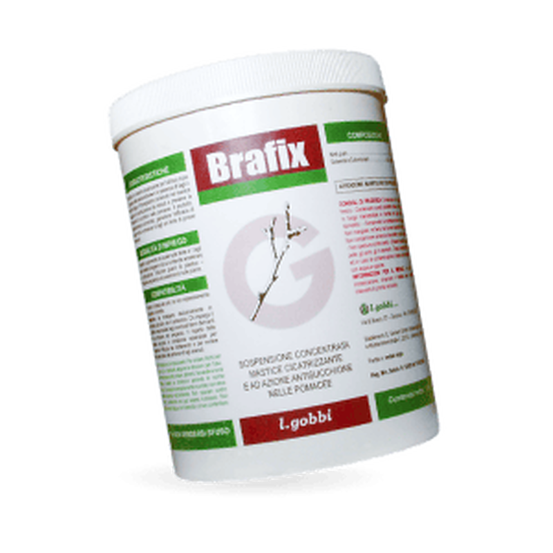 Brafix