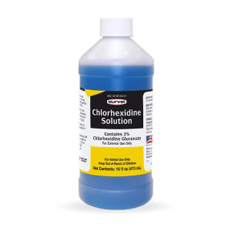 Chlorhexidine