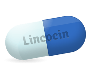 Lincocin