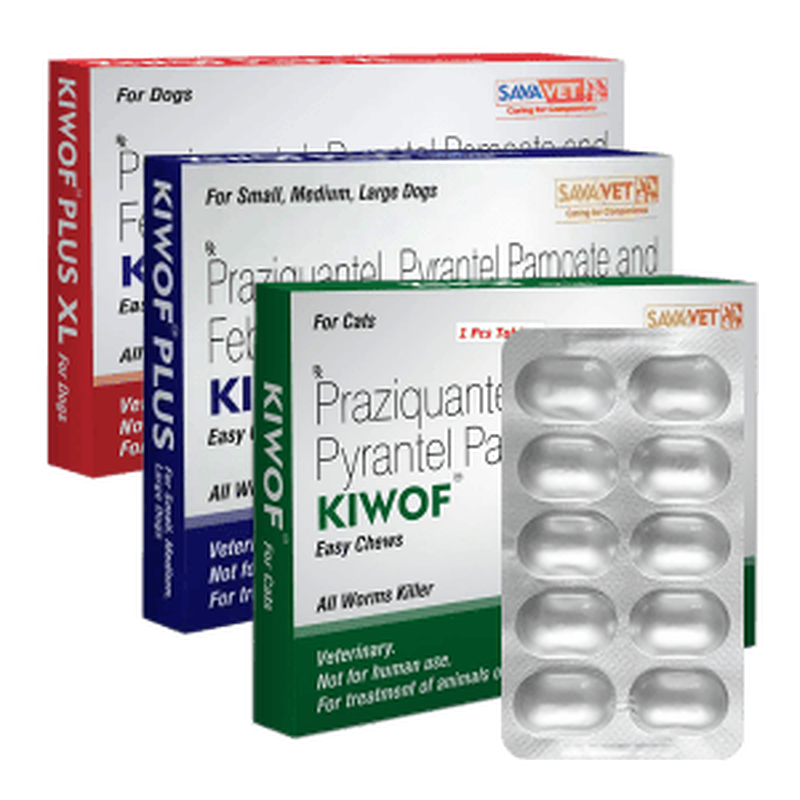 Kiwof Plus Easy Chews