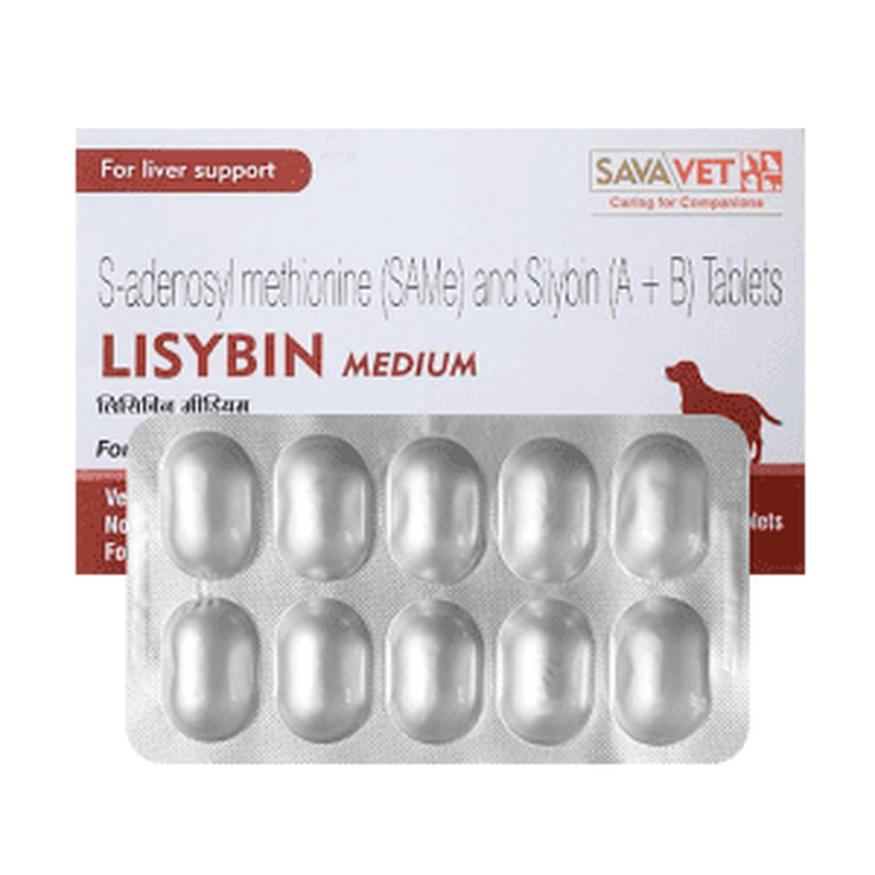 vet-lisybin-medium